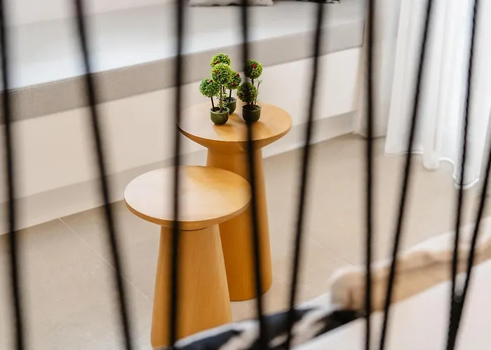 Elvirtus Appartamento