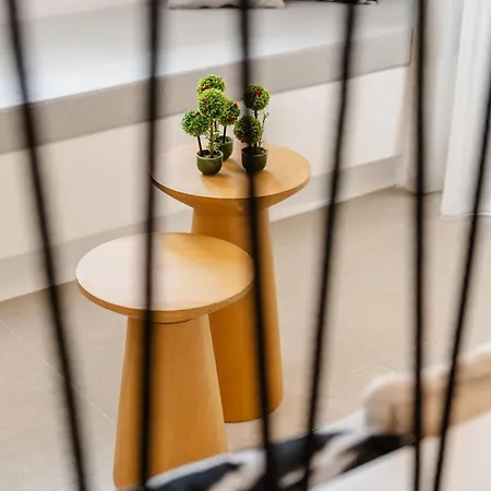 Elvirtus Apartment